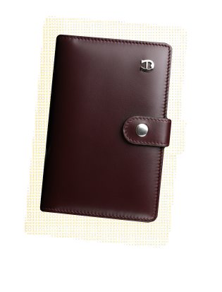 wallet icon for NRI investments